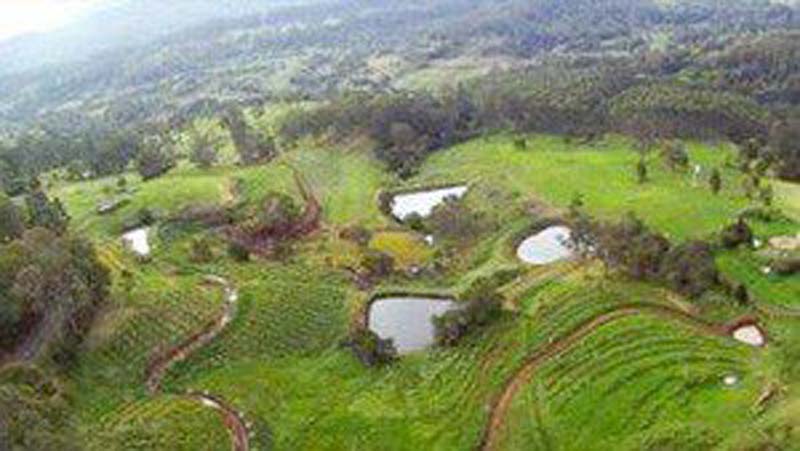 permaculture-thumb