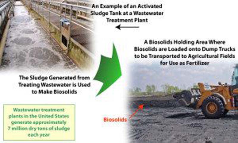 BiosolidsDiagramImages_l-1