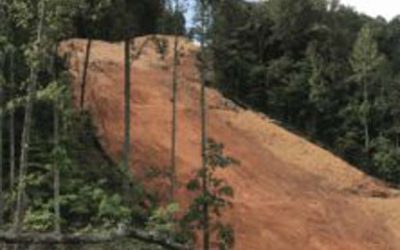 Appalachian Voices denounces FERC’s greenlight for Mountain Valley Pipeline to resume