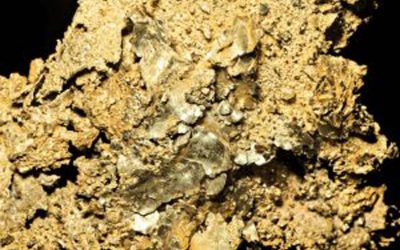 Farmville Herald: County can avoid gold mining, officials say!!!