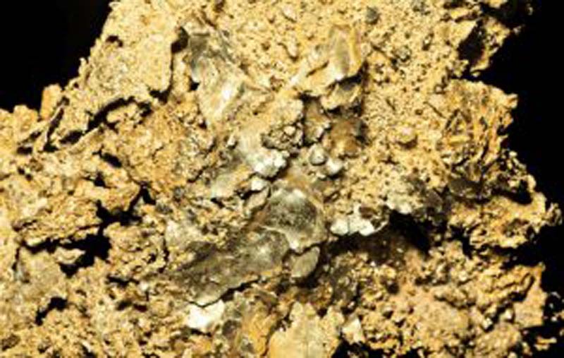 gold nuggets